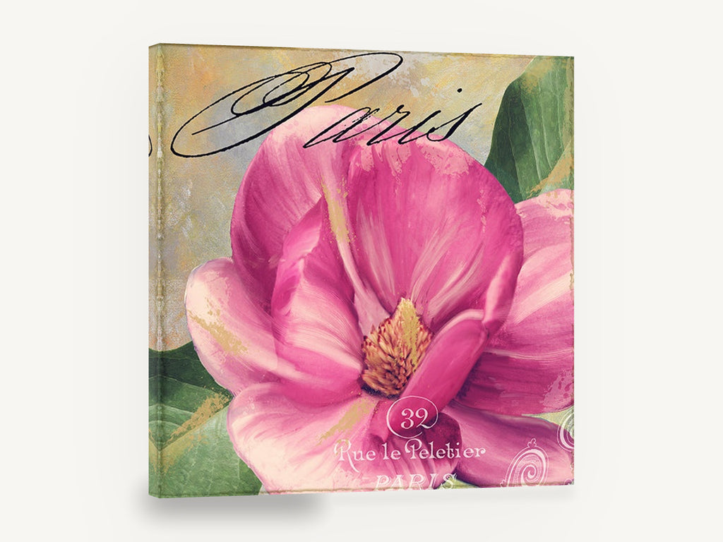 Pink Magnolia Paris, pink magnolia paris script floral, floral canvas wall art print ready to hang