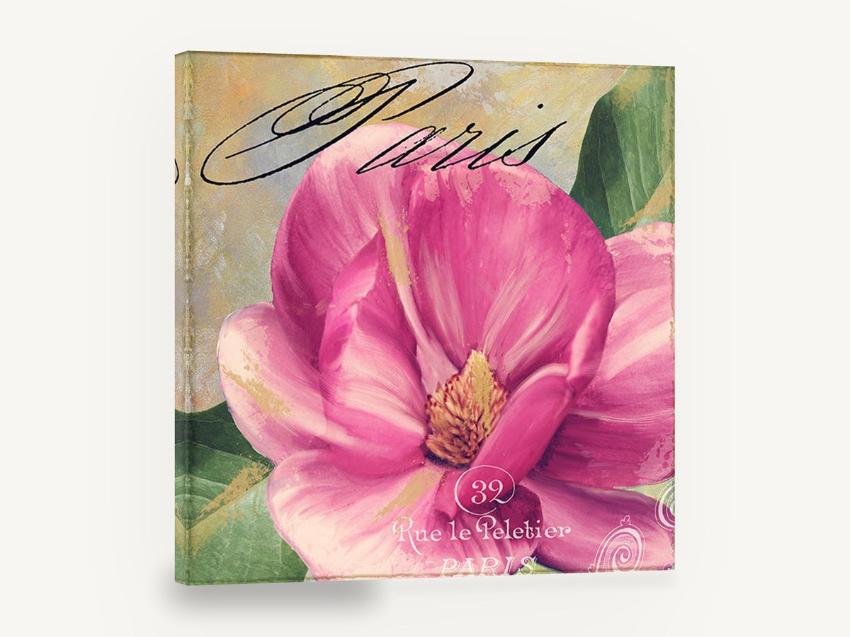 Pink Magnolia Paris, pink magnolia paris script floral, floral canvas wall art print ready to hang