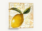 Parisian Lemon Script, lemon french script kitchen, kitchen canvas wall art print ready to hang