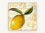 Parisian Lemon Script, kitchen canvas wall art print, front view