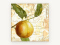Peach on Paris Script, kitchen canvas wall art print, front view