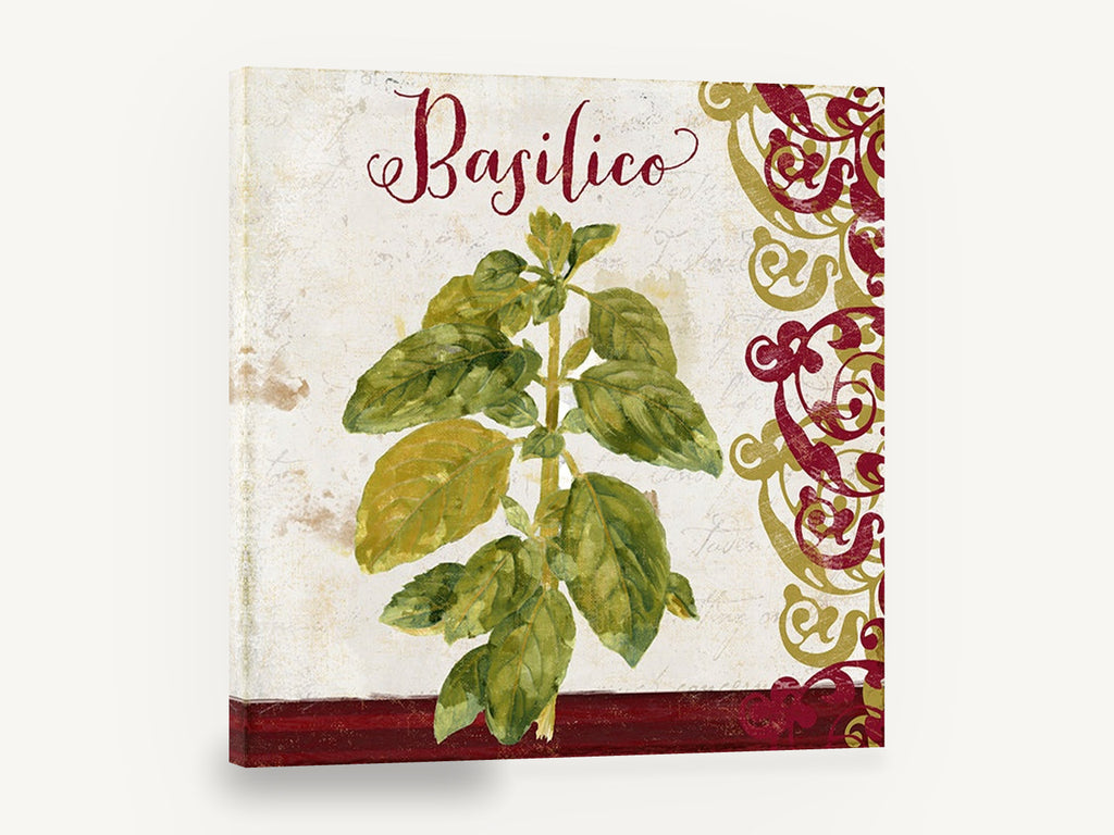 Basilico Herb Scroll, basil herb italian kitchen botanical, kitchen canvas wall art print ready to hang