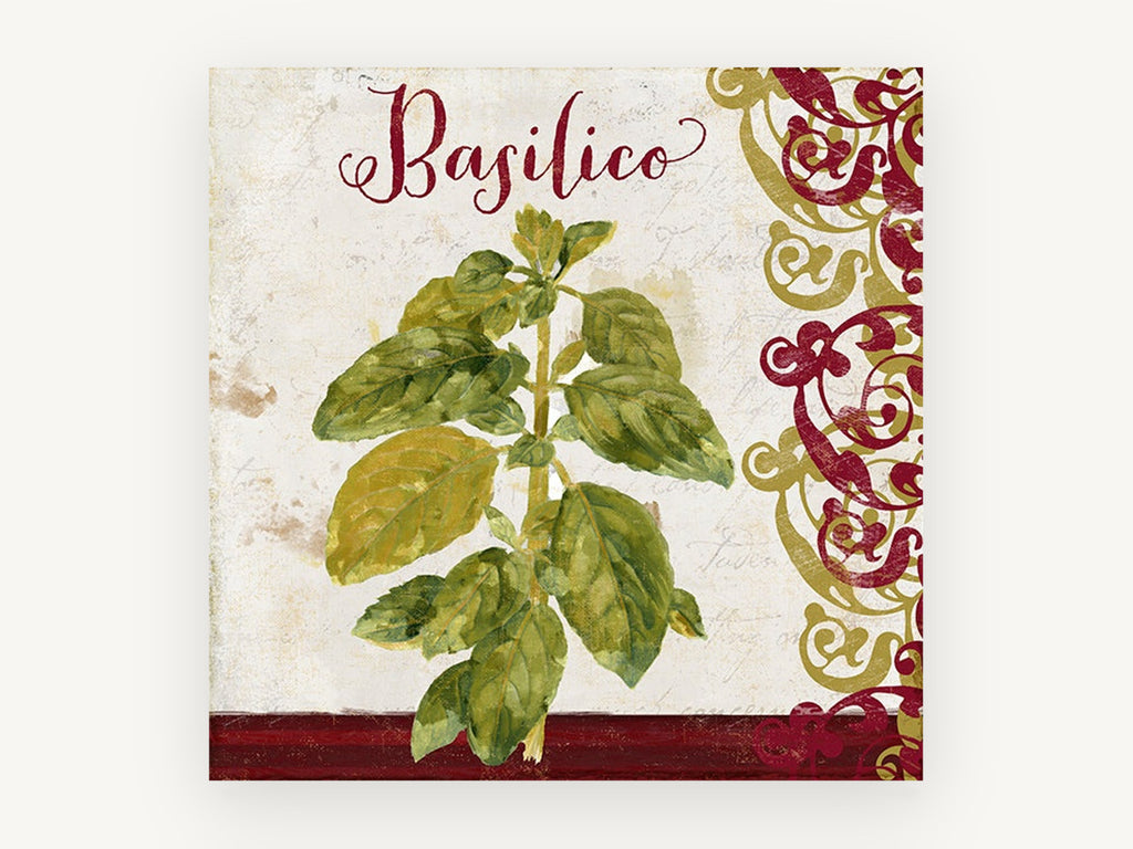 Basilico Herb Scroll, kitchen canvas wall art print, front view