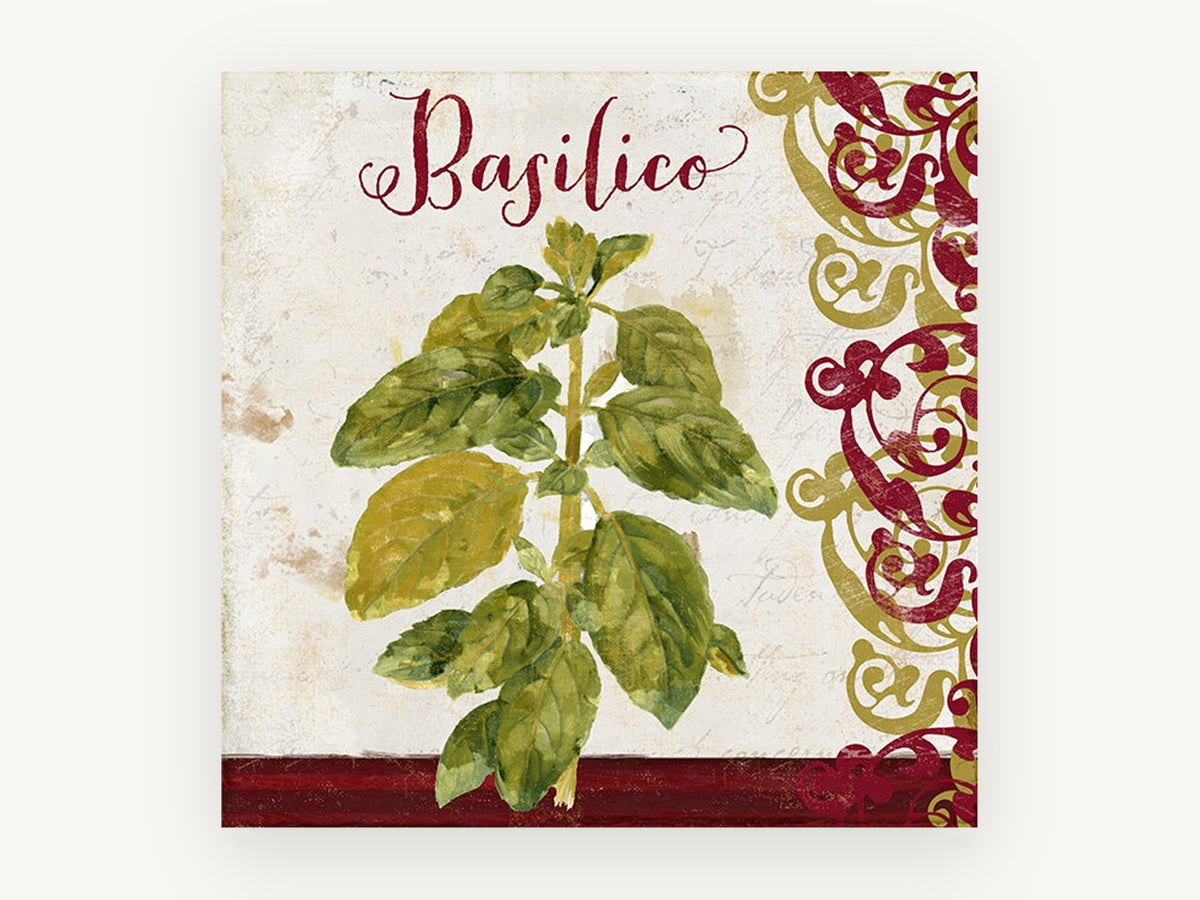 Basilico Herb Scroll, kitchen canvas wall art print, front view