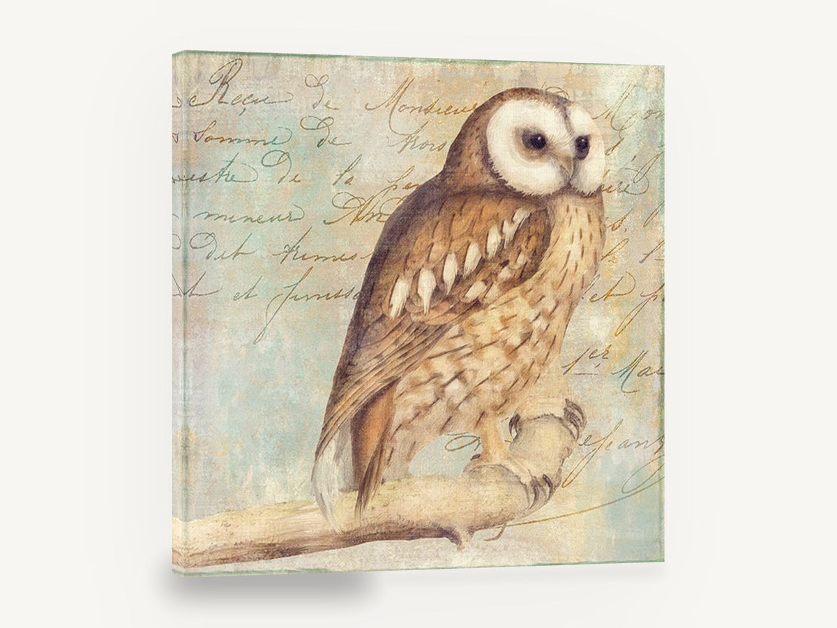 Letter Script Owl, vintage owl illustration on script, animal canvas wall art print ready to hang