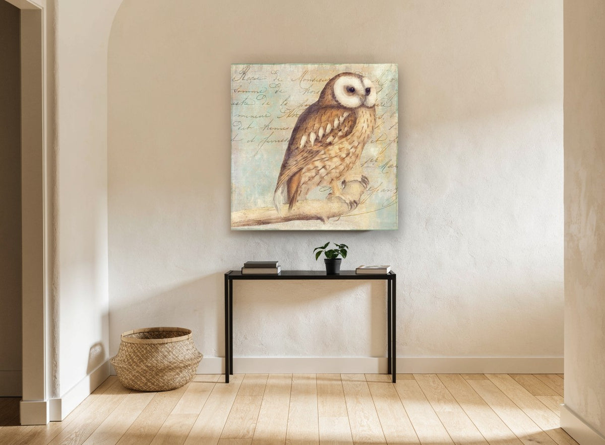 Letter Script Owl animal canvas print on the wall of a hallway