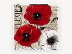 Red Poppies Fleurs Script, floral canvas wall art print, front view