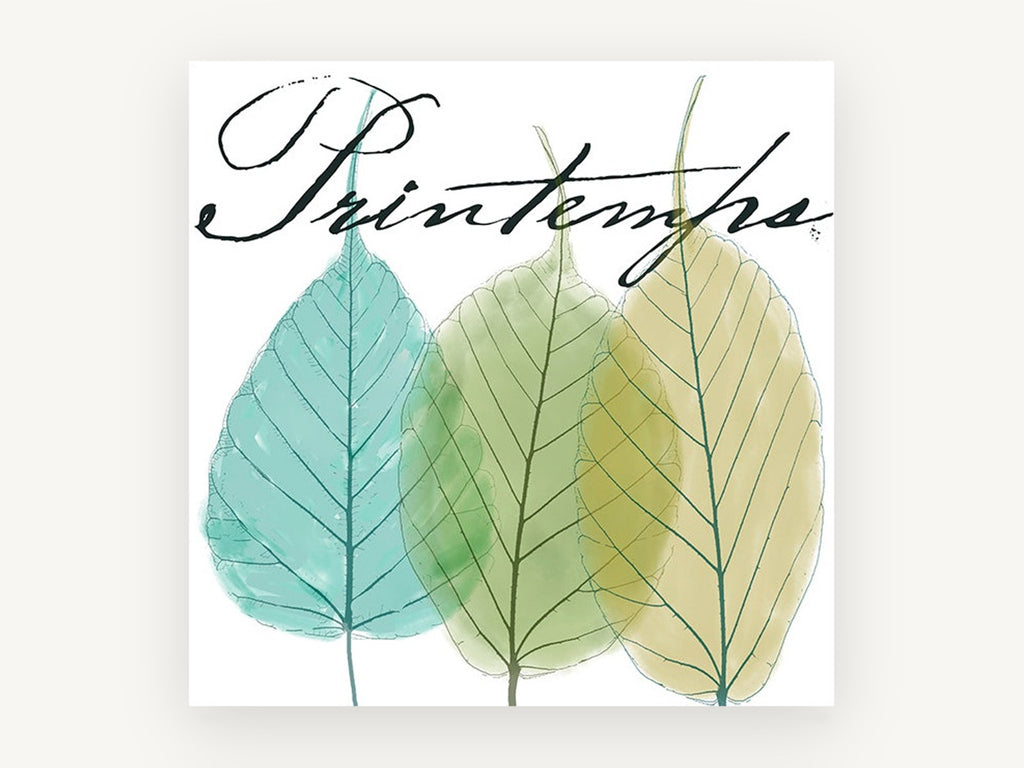 Three Leaves Printemps, floral canvas wall art print, front view