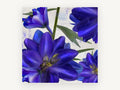 Indigo Delphinium Bloom, floral canvas wall art print, front view