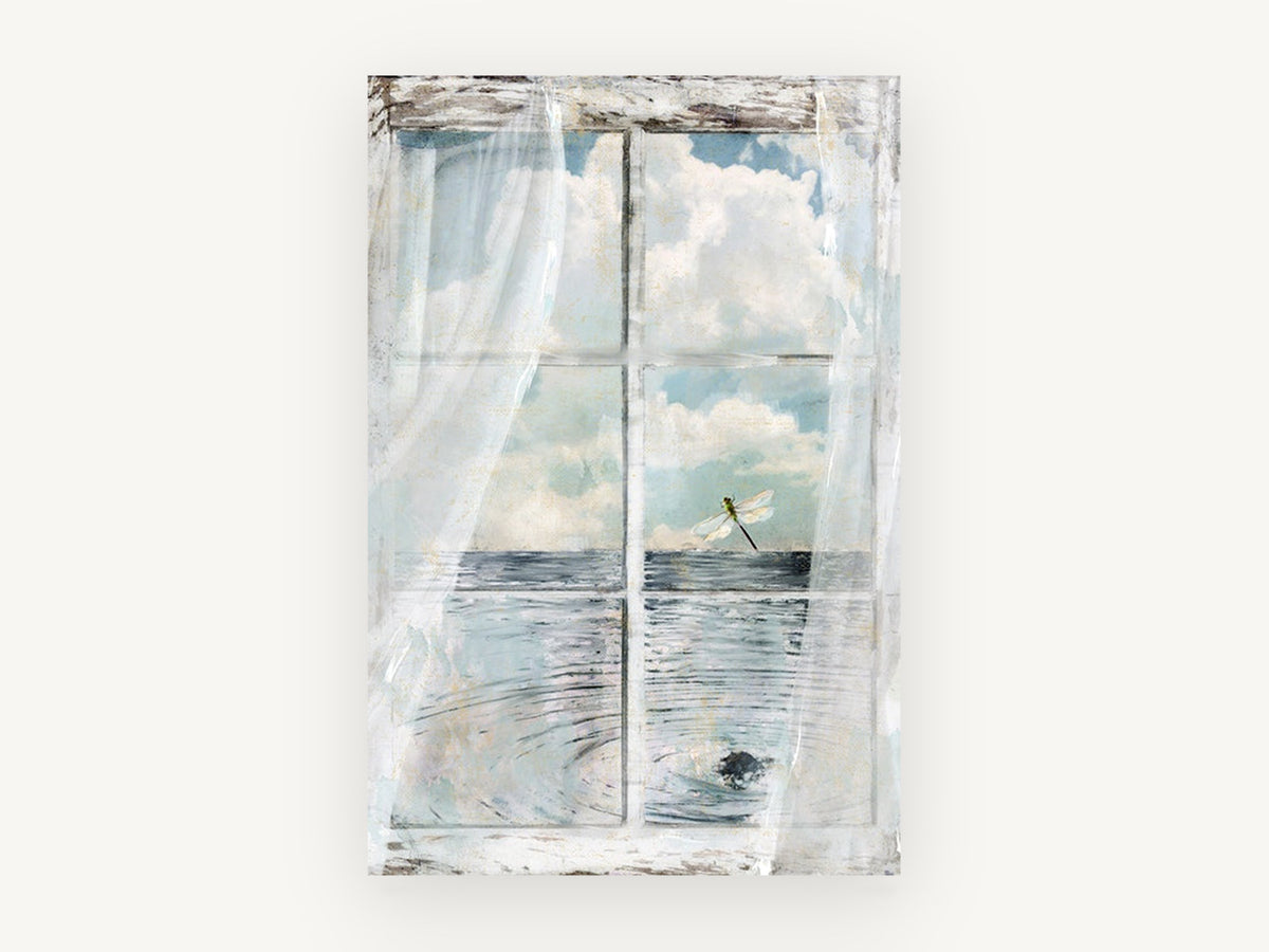Dragonfly at the Window, coastal canvas wall art print, front view