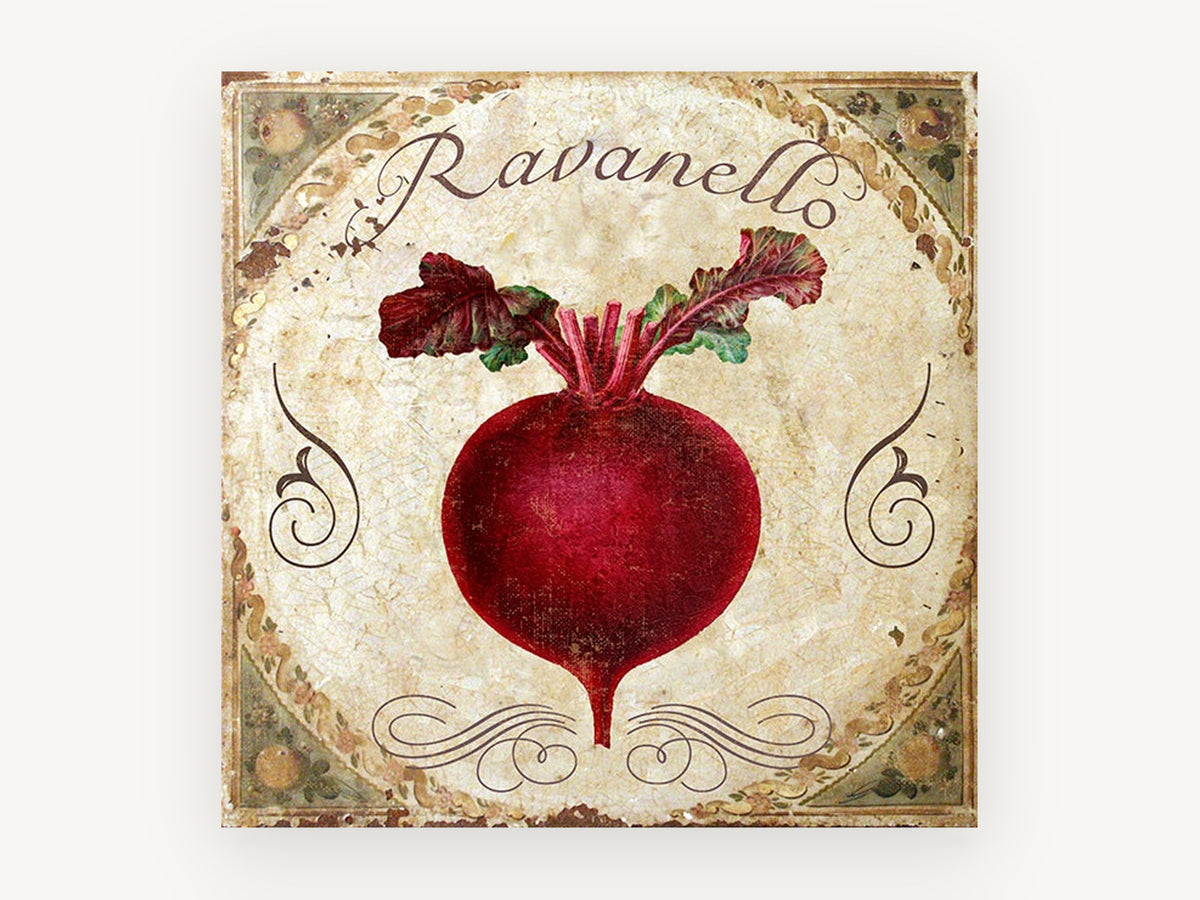 Crimson Ravanello Beetroot, kitchen canvas wall art print, front view