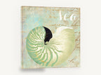 Green Nautilus Shell, green nautilus shell coastal illustration, coastal canvas wall art print ready to hang