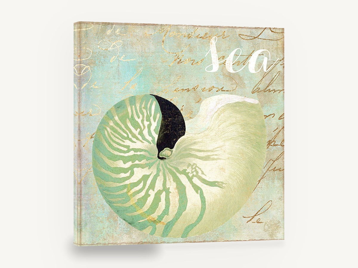 Green Nautilus Shell, green nautilus shell coastal illustration, coastal canvas wall art print ready to hang