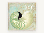 Green Nautilus Shell, coastal canvas wall art print, front view