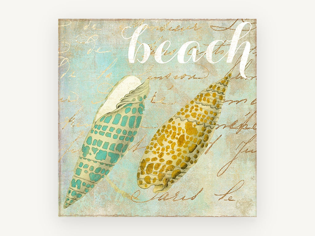 Twin Shells on Script, coastal canvas wall art print, front view