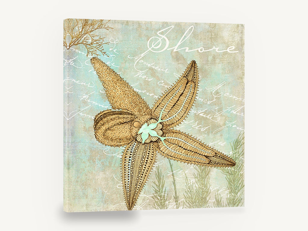 Starfish Shore Script, vintage starfish illustration coastal, coastal canvas wall art print ready to hang