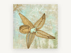 Starfish Shore Script, coastal canvas wall art print, front view