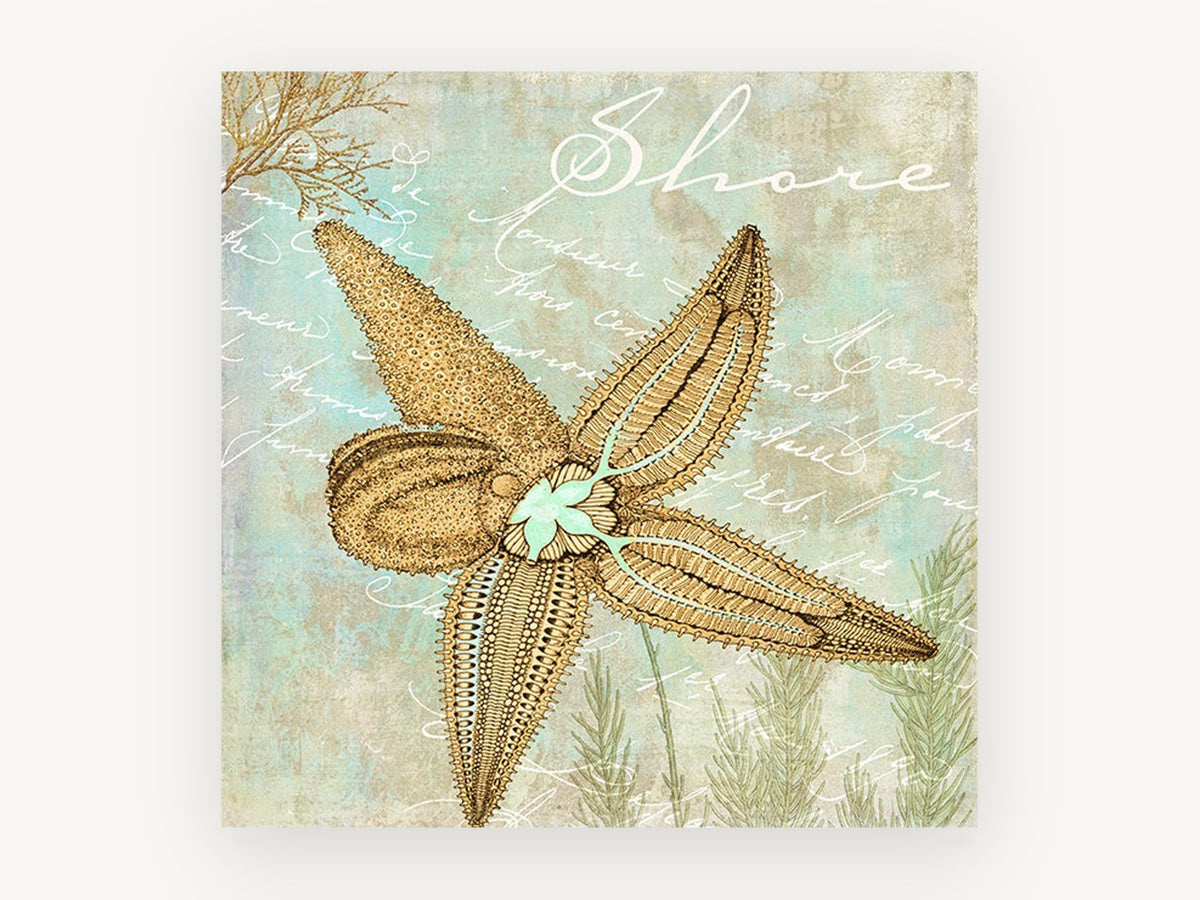Starfish Shore Script, coastal canvas wall art print, front view