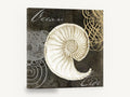 Ocean Tide Nautilus, cream nautilus shell ocean tide, coastal canvas wall art print ready to hang