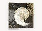 Ocean Tide Nautilus, cream nautilus shell ocean tide, coastal canvas wall art print ready to hang