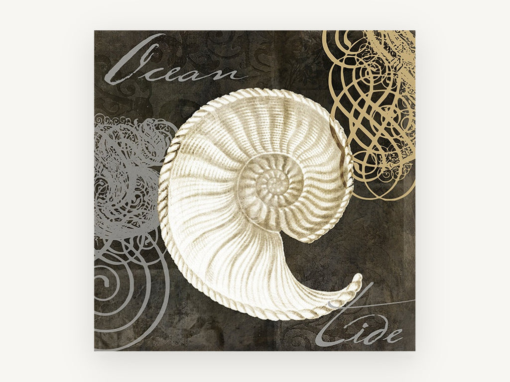 Ocean Tide Nautilus, coastal canvas wall art print, front view