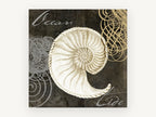 Ocean Tide Nautilus, coastal canvas wall art print, front view