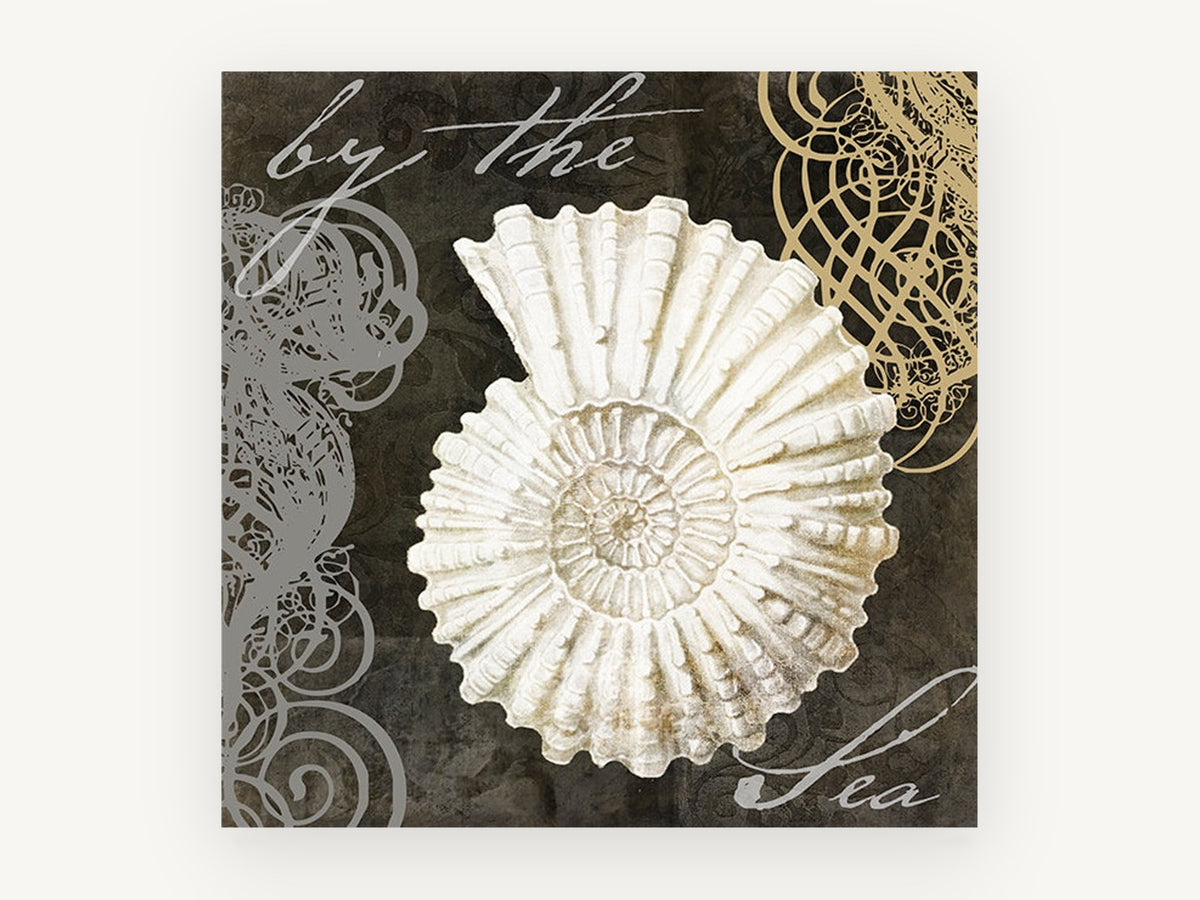 Ammonite Script Study, coastal canvas wall art print, front view