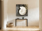 Ammonite Script Study coastal canvas print on the wall of a hallway