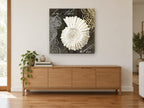 Ammonite Script Study coastal canvas print on the wall of a living room above a sideboard