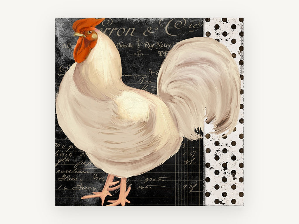 White Rooster Script, white rooster vintage script illustration, animal canvas wall art print, front view