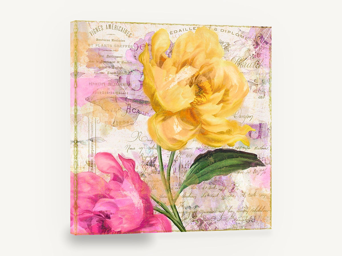 Yellow Peony French Ephemera, yellow peony vintage french script collage, floral canvas wall art print ready to hang