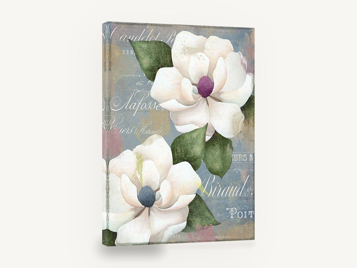 Magnolias on French Script, white magnolia vintage french script floral, floral canvas wall art print ready to hang