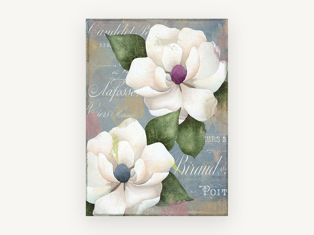 Magnolias on French Script, floral canvas wall art print, front view