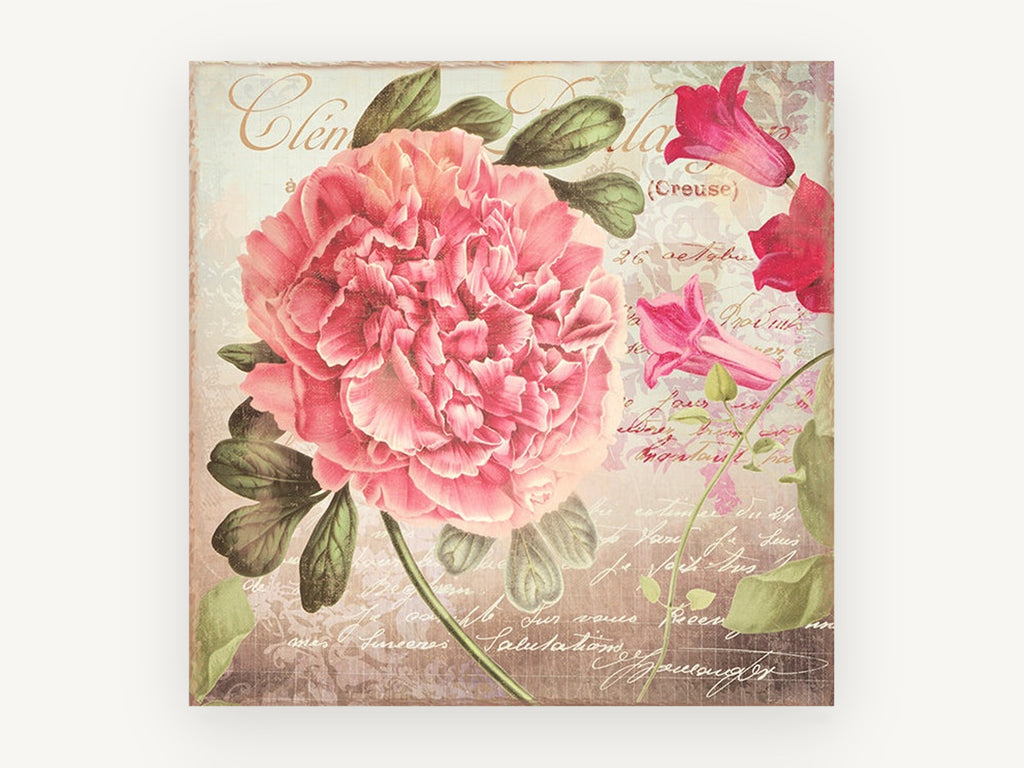 Peony and Postcard Script, floral canvas wall art print, front view