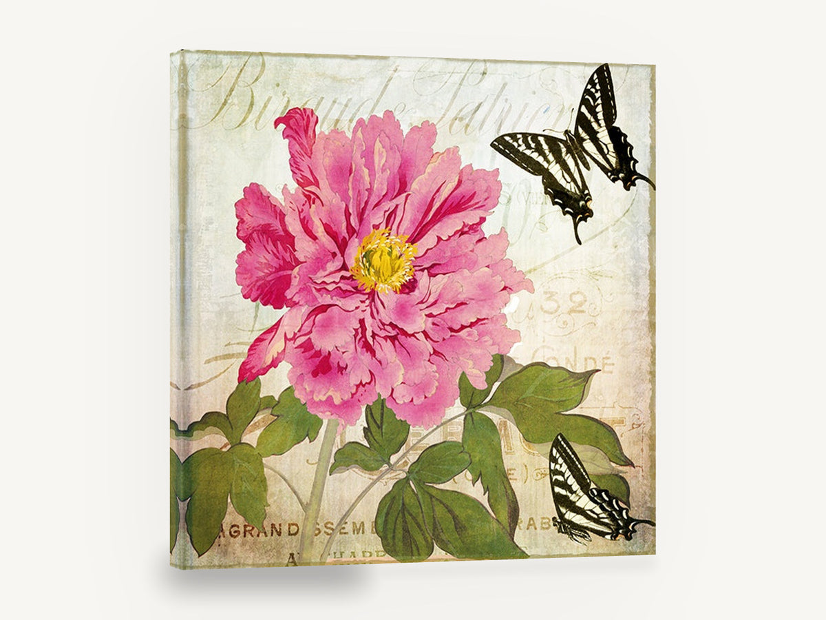 Peony and Swallowtails, pink peony butterflies vintage botanical, floral canvas wall art print ready to hang