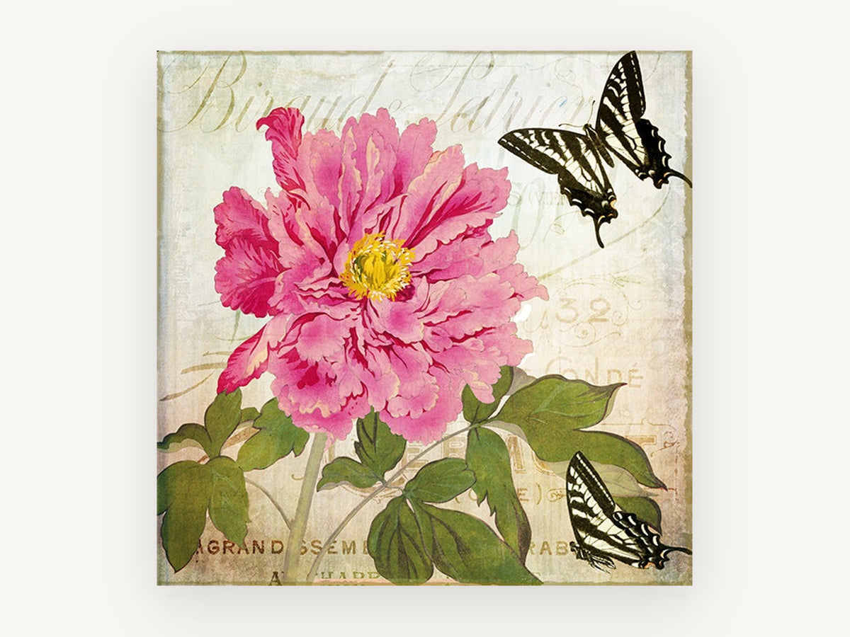 Peony and Swallowtails, floral canvas wall art print, front view