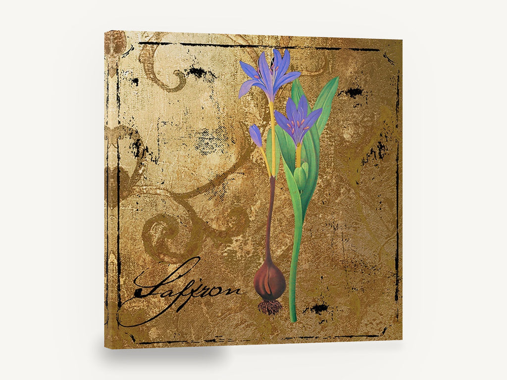 Saffron Crocus Gold, saffron crocus botanical illustration gold, floral canvas wall art print ready to hang