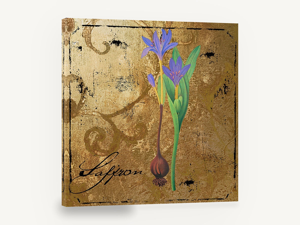 Saffron Crocus Gold, saffron crocus botanical illustration gold, floral canvas wall art print ready to hang