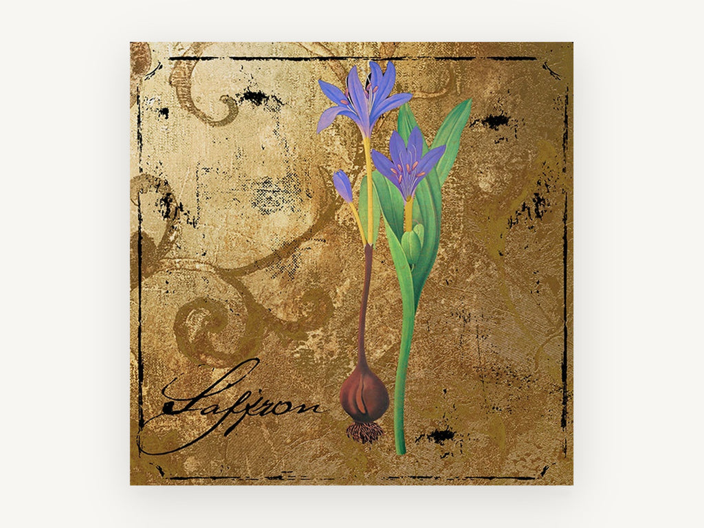Saffron Crocus Gold, floral canvas wall art print, front view