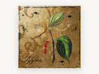Pepper Vine Gold, floral canvas wall art print, front view