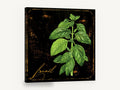 Basil on Black, basil herb botanical illustration black, floral canvas wall art print ready to hang