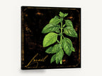 Basil on Black, basil herb botanical illustration black, floral canvas wall art print ready to hang