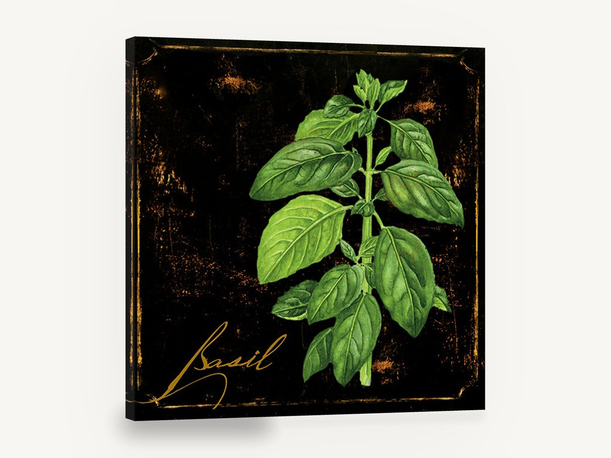 Basil on Black, basil herb botanical illustration black, floral canvas wall art print ready to hang