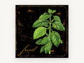 Basil on Black, floral canvas wall art print, front view