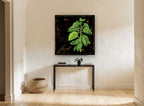 Basil on Black floral canvas print on the wall of a hallway