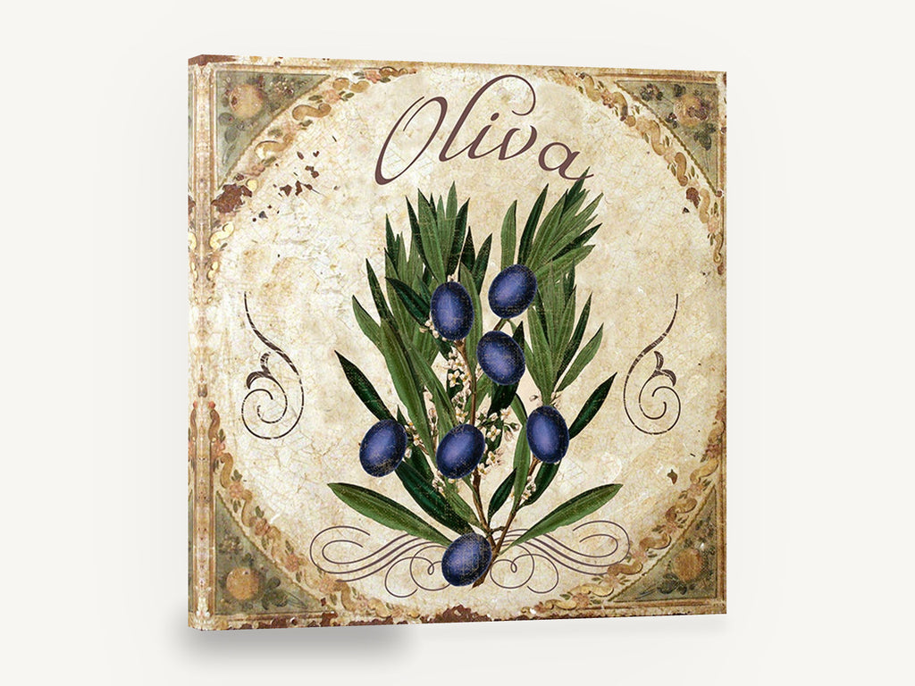 Oliva Olive Branch, olive branch vintage botanical kitchen, kitchen canvas wall art print ready to hang