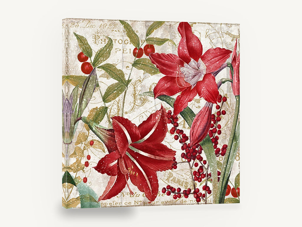 Red Amaryllis Paris Script, red amaryllis berries vintage botanical, floral canvas wall art print ready to hang