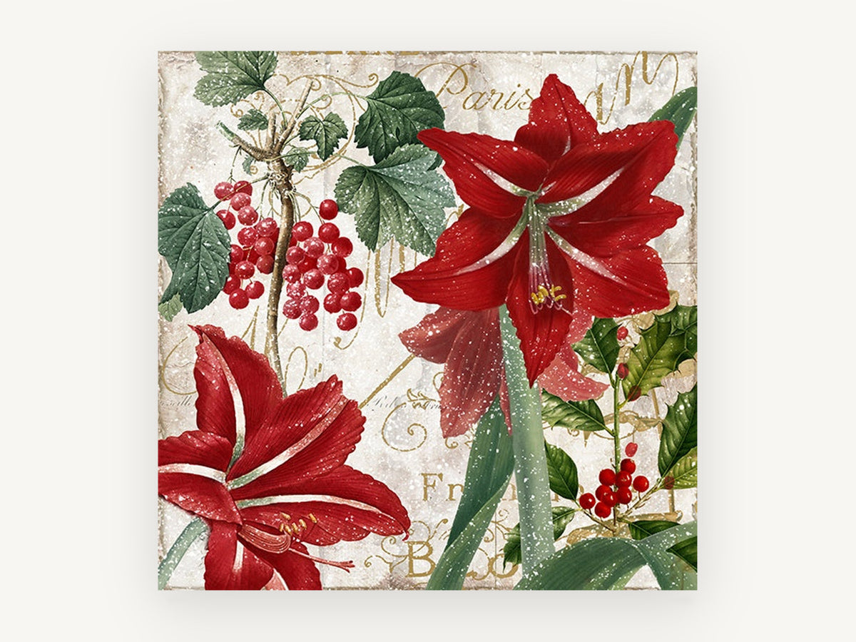 Red Amaryllis Winter Garden, floral canvas wall art print, front view