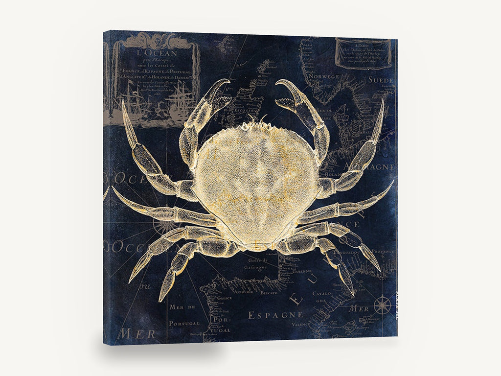 Crab on Navy Chart, vintage crab over french sea map, stretched canvas wall art print ready to hang