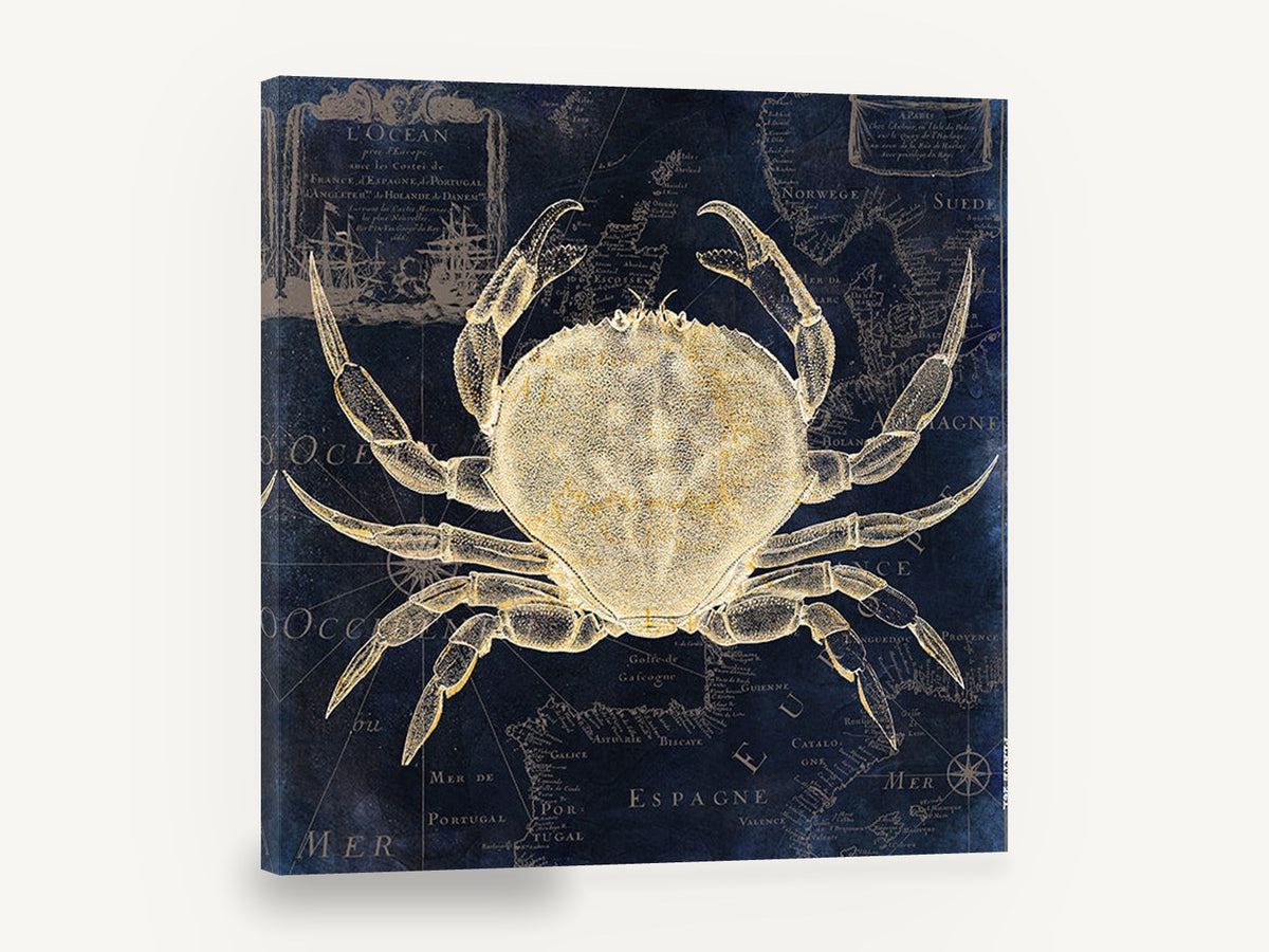 Crab on Navy Chart, vintage crab over french sea map, stretched canvas wall art print ready to hang